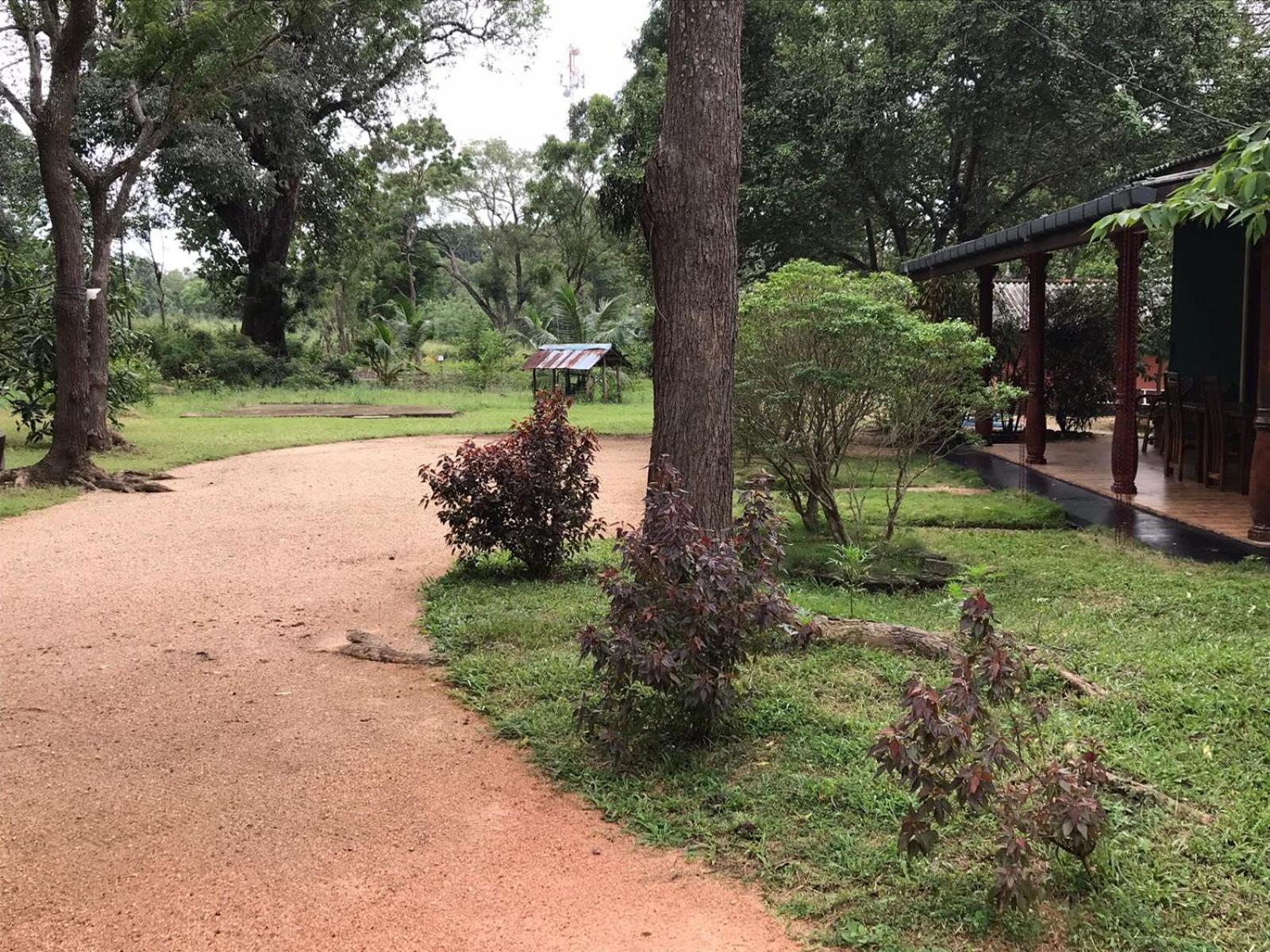Greenwood Hotel Sigiriya Exterior foto